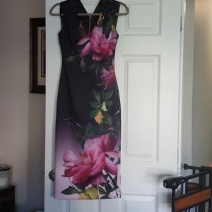 Ted Baker Size 1 Floral Midi Bodycon Dress